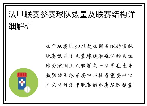 法甲联赛参赛球队数量及联赛结构详细解析
