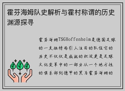 霍芬海姆队史解析与霍村称谓的历史渊源探寻